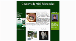 Desktop Screenshot of countrysideschnoodles.com