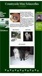 Mobile Screenshot of countrysideschnoodles.com