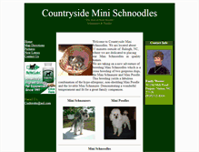 Tablet Screenshot of countrysideschnoodles.com